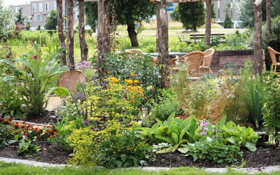 Groente en beleeftuin volop in gebruik